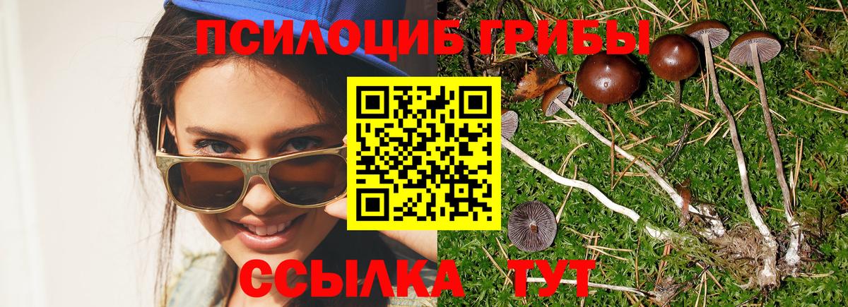 Санкт-Петербург  Галлюциногенные грибы Magic Shrooms  Вход с VPN  Псилоцибиновые грибы ЛСД 