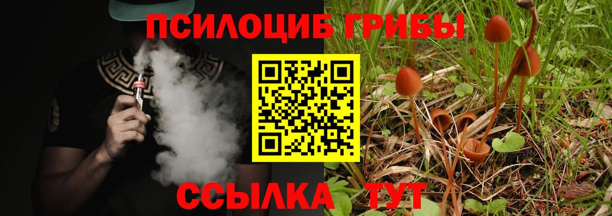 Псилоцибиновые грибы Magic Shrooms Санкт-Петербург